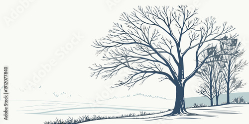 A solitary tree stands majestically on a grassy hill under a clear sky