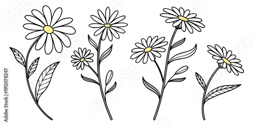 A delightful illustration of four different types of flowers in a row