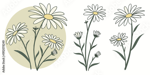 A beautiful illustration of two distinct types of flowers with intricate details