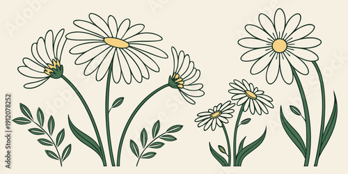 A delightful illustration of three different types of daisies in full bloom