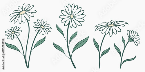 A delicate arrangement of white daisies with green stems and leaves