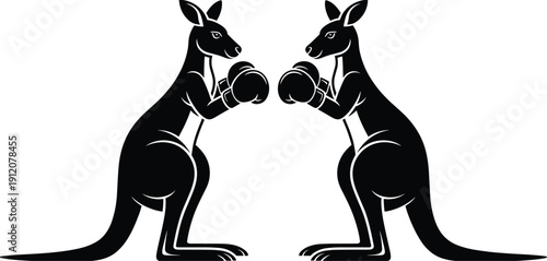 Black vector silhouette of two kangaroos wearing boxing gloves facing each other for Australian sports branding wildlife conservation outback themes and animal competition designs