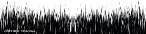 Tall Grass Silhouette Texture Background