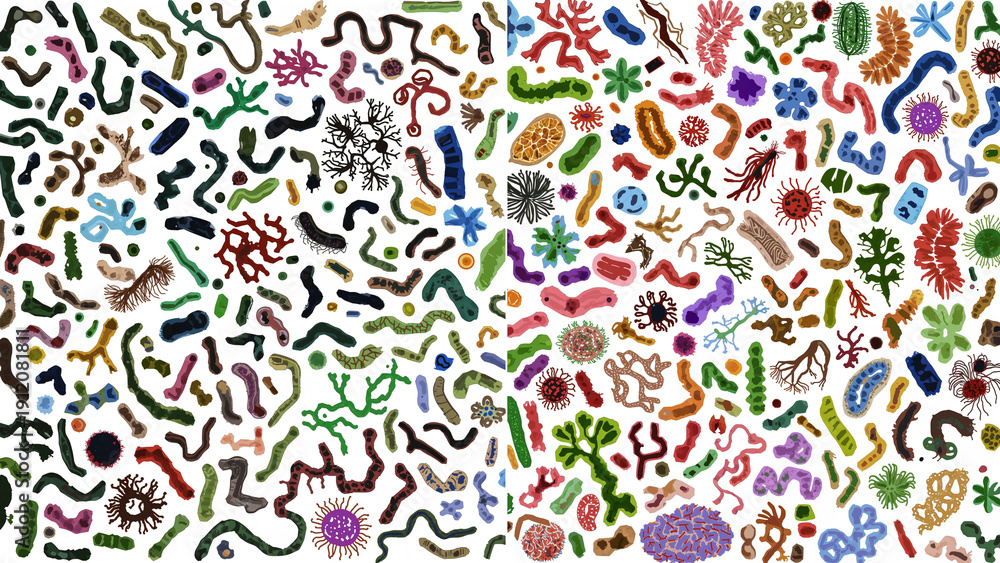 Naklejka premium Gut Microbiome Split Screen Comparison, Healthy Diverse Flora versus Damaged Unhealthy Microbiome Illustration