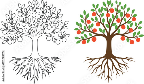 Apple Tree with Roots Vector Illustration - Realistic and Line Art Style Bundle