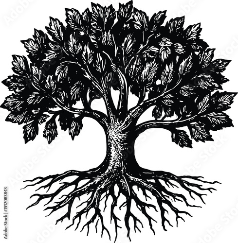 Vintage Hand Drawn Tree of Life with Roots and Leaves, Woodcut Style Vector Illustration Isolated on transparent Background.