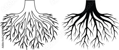 Abstract Tree Root System Vector Illustration – Organic Underground Branching Growth Silhouette Icon