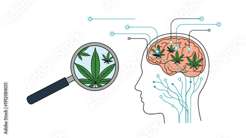 Medical marijuana research concept showing cannabis leaves under a magnifying glass next to a brain neural network.