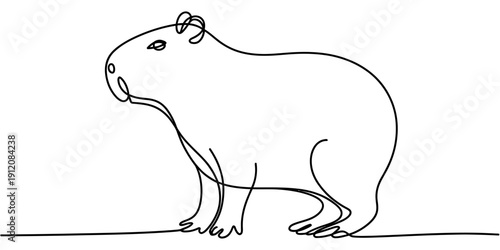 Minimalist continuous one line drawing of a capybara animal on white background