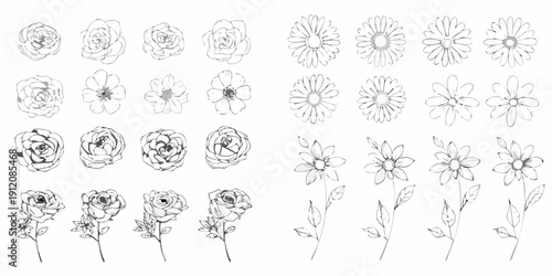 Collection of delicate hand drawn floral sketches in black and white
