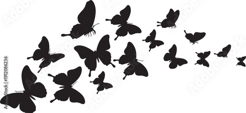 Illustration of butterfly background