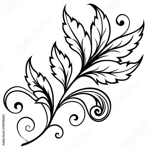 Intricate black and white illustration of a leaf with swirling patterns