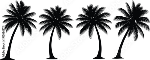 Set of black palm tree silhouettes, tropical coconut tree icons isolated on white, summer beach nature elements, vector illustration for vacation travel and exotic landscape design.