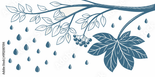 A serene blue leaf branch with raindrops falling on a white background