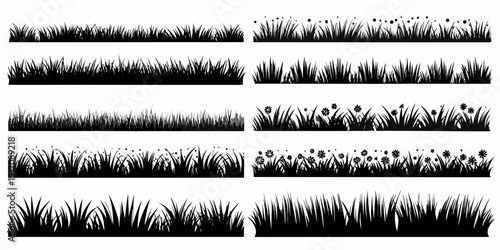 Black and white illustration of varying grass and wildflower patches