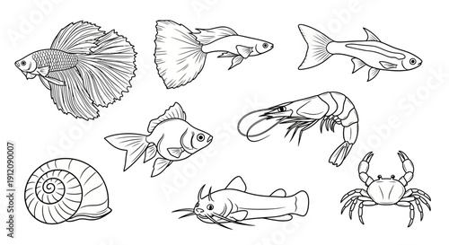 A set of various aquarium animals illustrated in black and white line art.