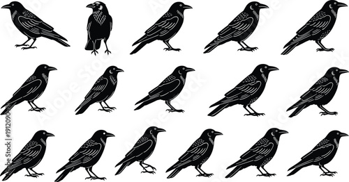 Fifteen crow or raven silhouette illustrations in grid, black bird designs with one unique forward-facing posture for variation.