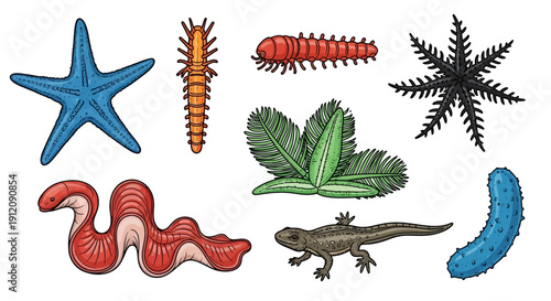 Collection of diverse sea creatures and terrestrial animals illustration