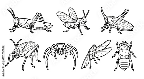 Collection of insect illustrations in outline style