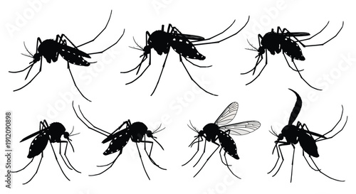 Mosquito silhouettes illustrating various poses and stages of this biting insect pest
