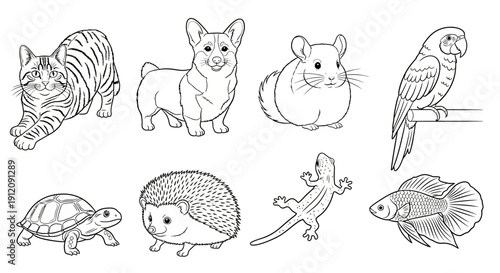 Collection of diverse animals in a line drawing style.