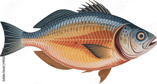 Colorful Vector Fish Illustration with Detailed Scales and Fins, Aquatic Life for Seafood and Fishing Concepts