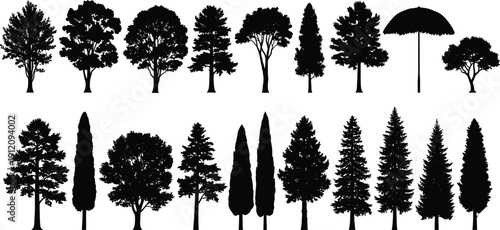 Set of black tree silhouettes featuring various species including pine oak cypress and deciduous trees for architectural visualization landscape design and nature forest backgrounds