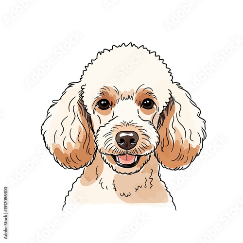 White Poodle Dog Head Portrait.