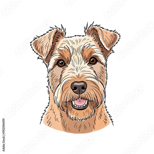 Fotografie Illustration of a Lakeland Terrier dog.