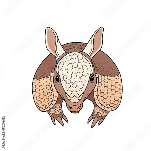 Armadillo Illustration with Detailed Scales.