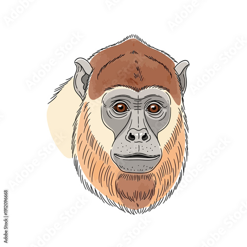 Monkey Portrait Closeup Illustration Art.