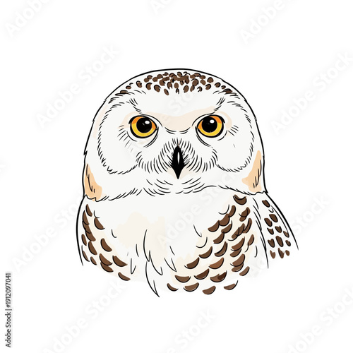 White Owl Illustration with Yellow Eyes.