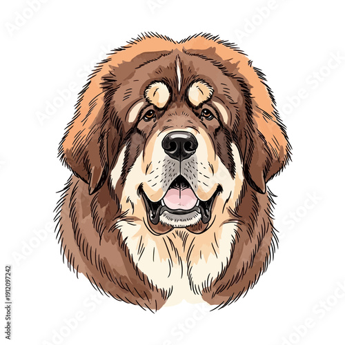 Happy Brown and White Dog Portrait.