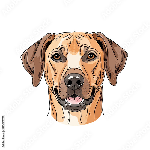 Dog Face Illustration with Floppy Ears.