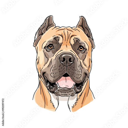 Illustration of a Mastiff Dog Head.