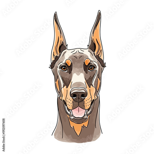 Illustration of Doberman Pinscher Dog Head.