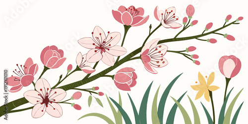 A delicate branch adorned with soft pink blossoms against a white background