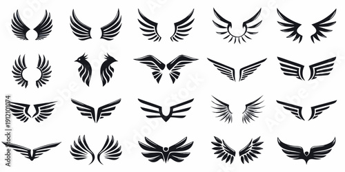 Collection of diverse black wing designs and ornamental feather motifs