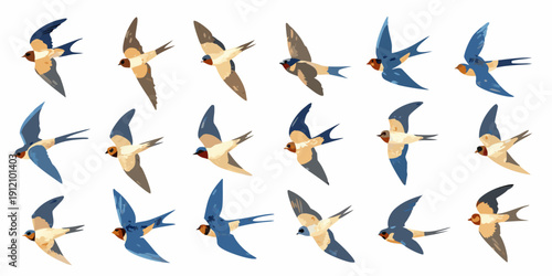 A collection of swallows in various flight poses and color variations