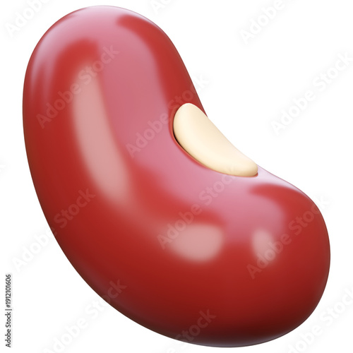 Close-up of a single glossy red bean with a creamy white eye, rendered in 3D