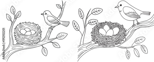 line art illustration of two adorable parent birds guarding their precious nest filled with three eggs, vector 