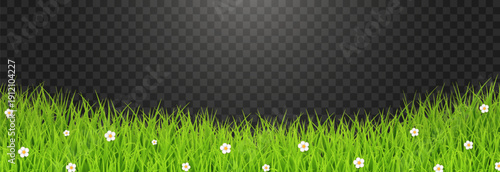 Green Grass Border with White Daisies Transparent PNG – Spring Meadow Vector Overlay