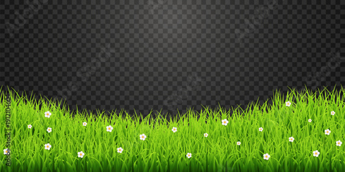 Green Grass Border with White Daisies Transparent PNG – Spring Meadow Vector Overlay