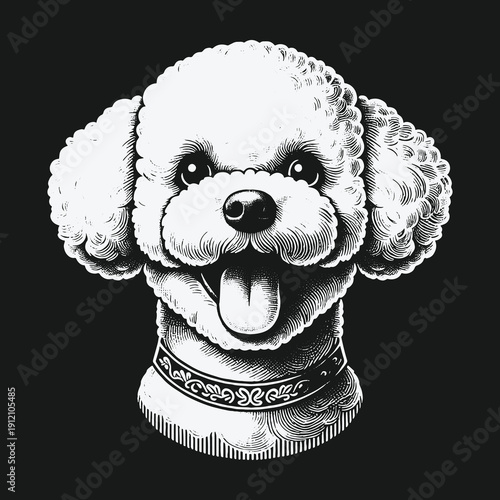 Adorable Poodle Portrait: A Charming Black and White Illustration.