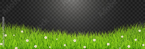 Green Grass Border with White Daisies Transparent PNG – Spring Meadow Vector Overlay