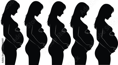 Sequence of 5 pregnant person silhouettes showing progressive stages of pregnancy with increasing baby bump size