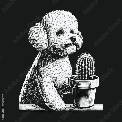 Poodle and Cactus: A Study in Contrasts and Textures.