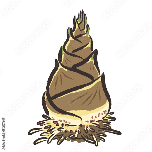 掘ったばかりで根がついたままの新鮮なたけのこ　手描きタッチのイラスト