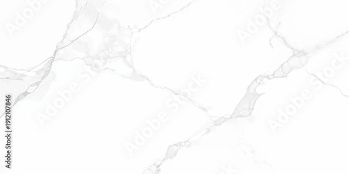 Water Splash Vector Illustration on White Background