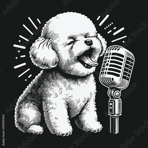 A charming Bichon Frise serenades with vintage microphone.